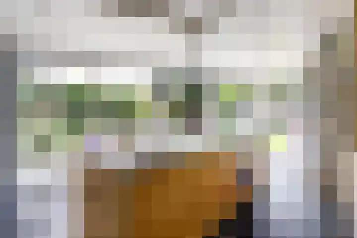 Theod. Pubbenstraat 9 Helden thumbnail 18