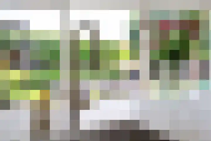 Theod. Pubbenstraat 9 Helden thumbnail 19