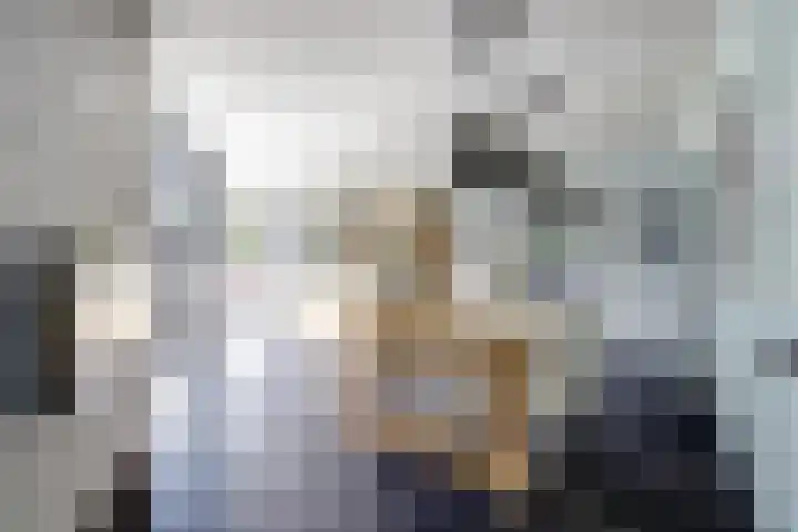 Theod. Pubbenstraat 9 Helden thumbnail 20