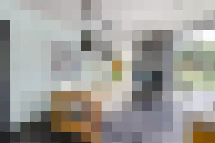 Theod. Pubbenstraat 9 Helden thumbnail 21