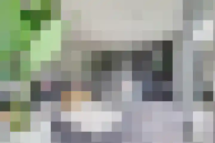 Theod. Pubbenstraat 9 Helden thumbnail 22