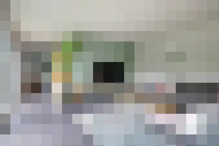 Theod. Pubbenstraat 9 Helden thumbnail 23