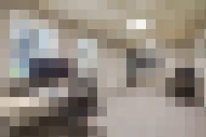 Theod. Pubbenstraat 9 Helden thumbnail 27