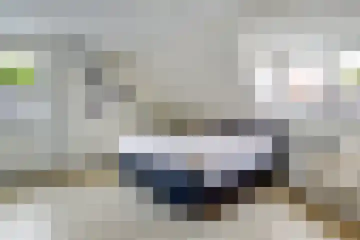 Theod. Pubbenstraat 9 Helden thumbnail 29