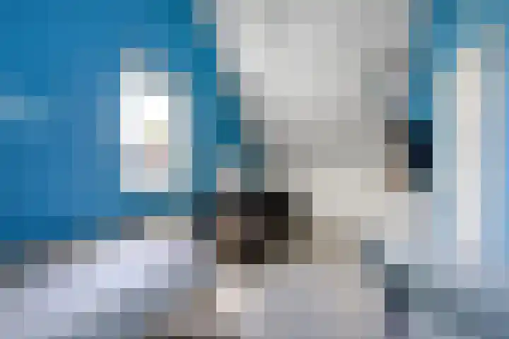 Theod. Pubbenstraat 9 Helden thumbnail 32