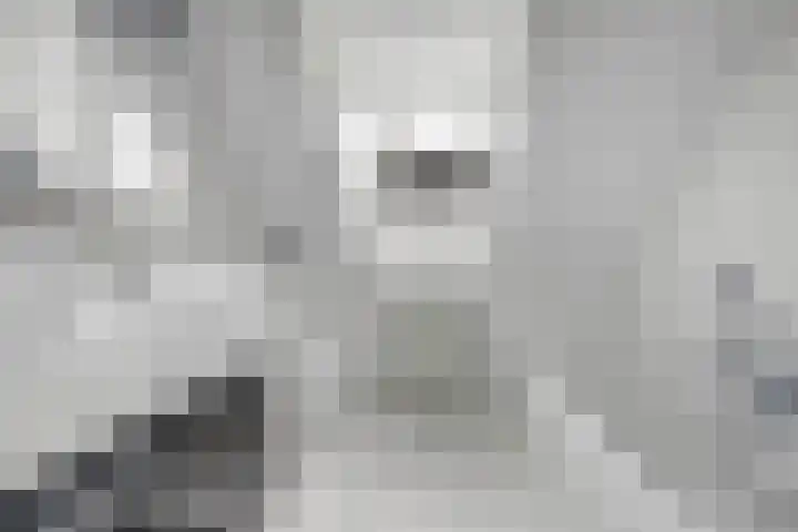 Theod. Pubbenstraat 9 Helden thumbnail 34