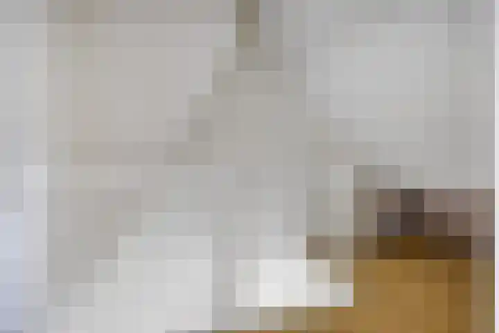 Theod. Pubbenstraat 9 Helden thumbnail 37