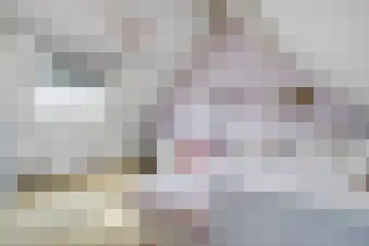 Theod. Pubbenstraat 9 Helden thumbnail 38