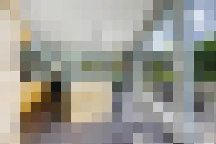 Theod. Pubbenstraat 9 Helden thumbnail 4
