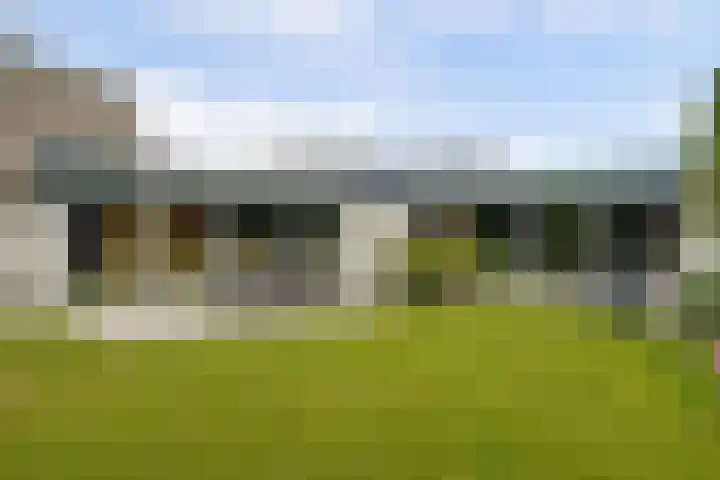 Theod. Pubbenstraat 9 Helden thumbnail 40