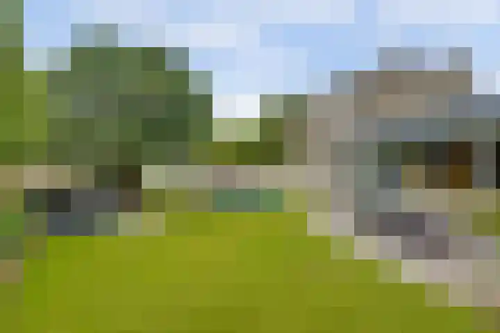Theod. Pubbenstraat 9 Helden thumbnail 41