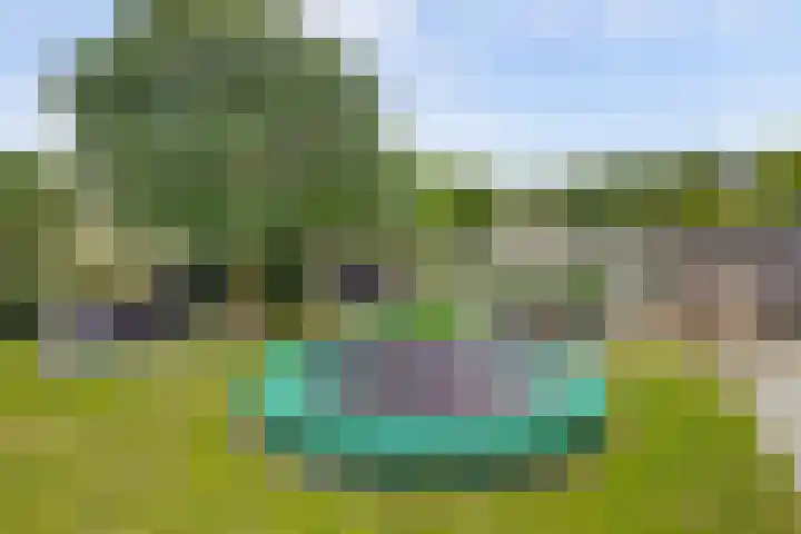 Theod. Pubbenstraat 9 Helden thumbnail 43