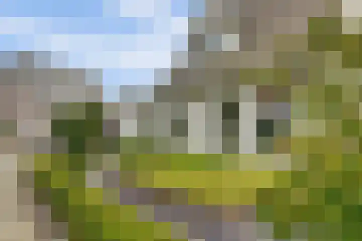 Theod. Pubbenstraat 9 Helden thumbnail 47