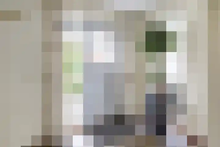 Theod. Pubbenstraat 9 Helden thumbnail 5