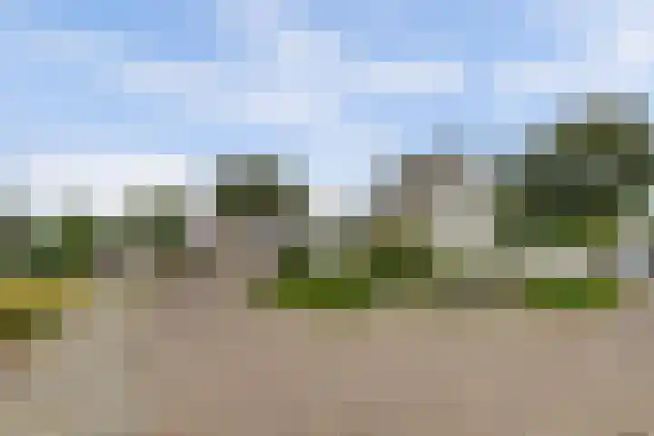 Theod. Pubbenstraat 9 Helden thumbnail 50