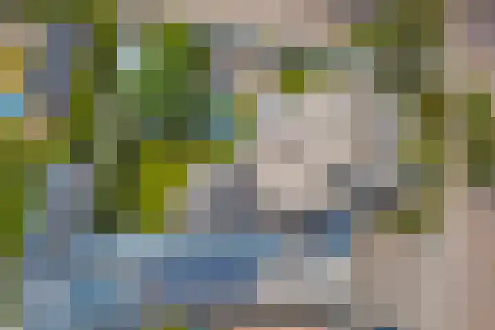 Theod. Pubbenstraat 9 Helden thumbnail 53
