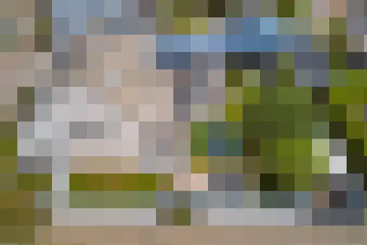 Theod. Pubbenstraat 9 Helden thumbnail 54
