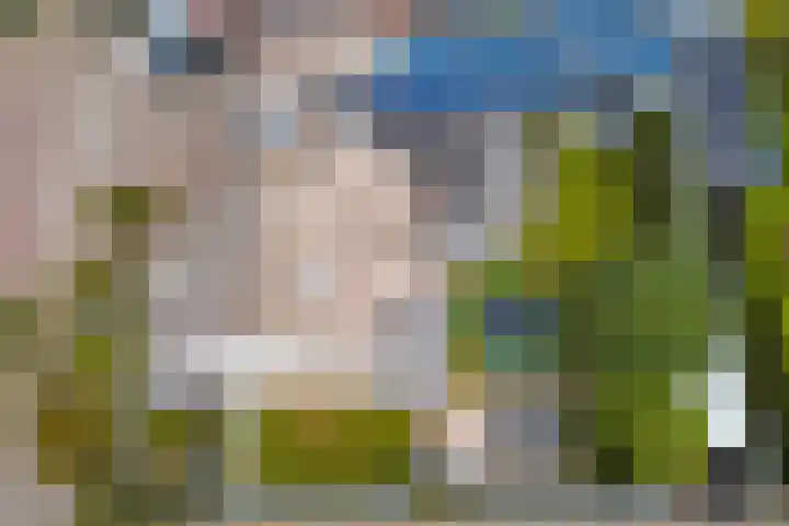 Theod. Pubbenstraat 9 Helden thumbnail 55