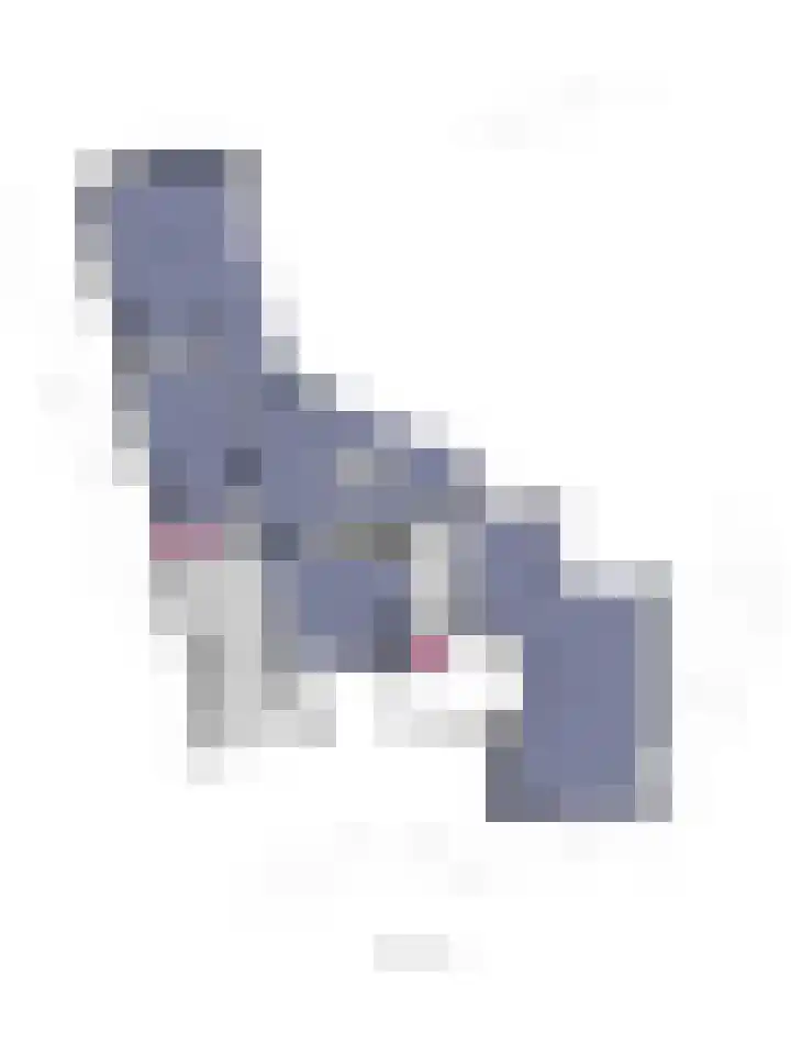 Theod. Pubbenstraat 9 Helden thumbnail 57