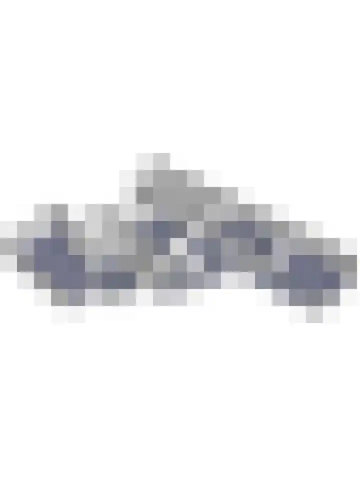 Theod. Pubbenstraat 9 Helden thumbnail 58