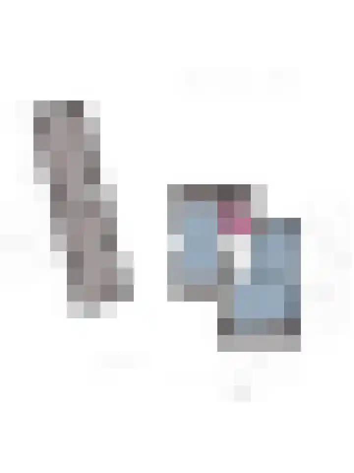 Theod. Pubbenstraat 9 Helden thumbnail 59
