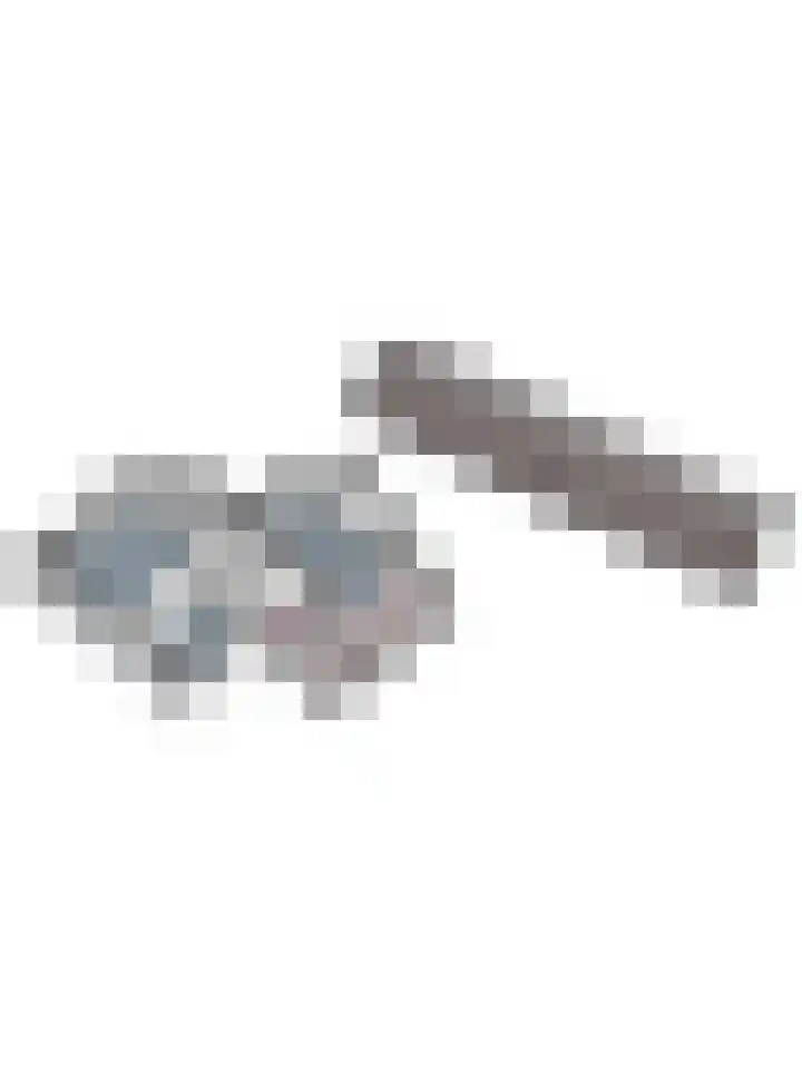 Theod. Pubbenstraat 9 Helden thumbnail 60