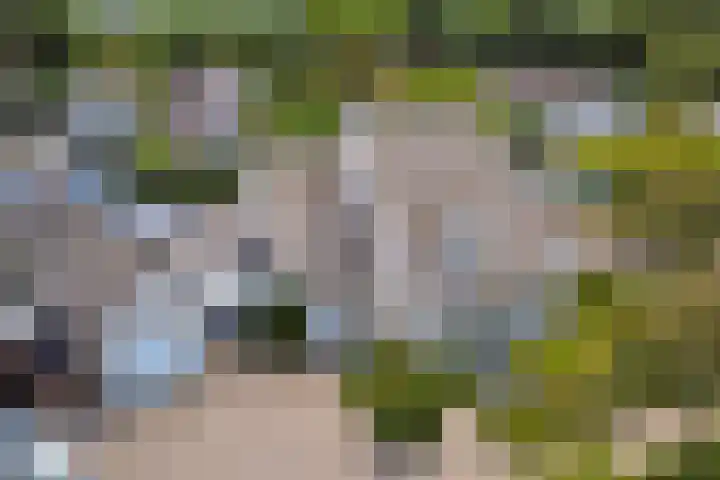 Theod. Pubbenstraat 9 Helden thumbnail 64