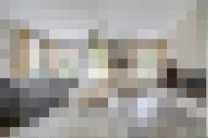 Theod. Pubbenstraat 9 Helden thumbnail 8