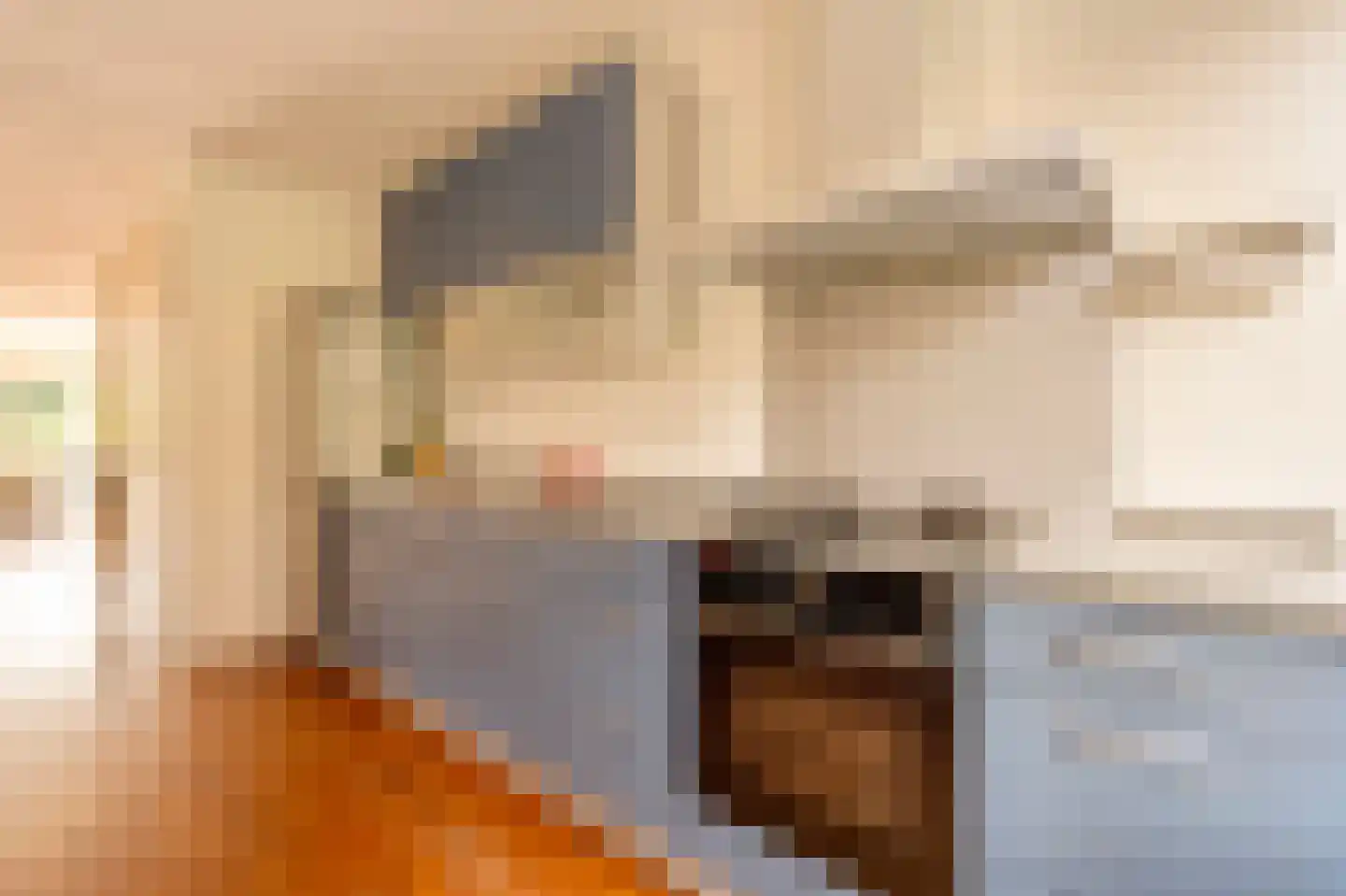 Theodoor van Hoytemastraat 13 Amsterdam thumbnail 16