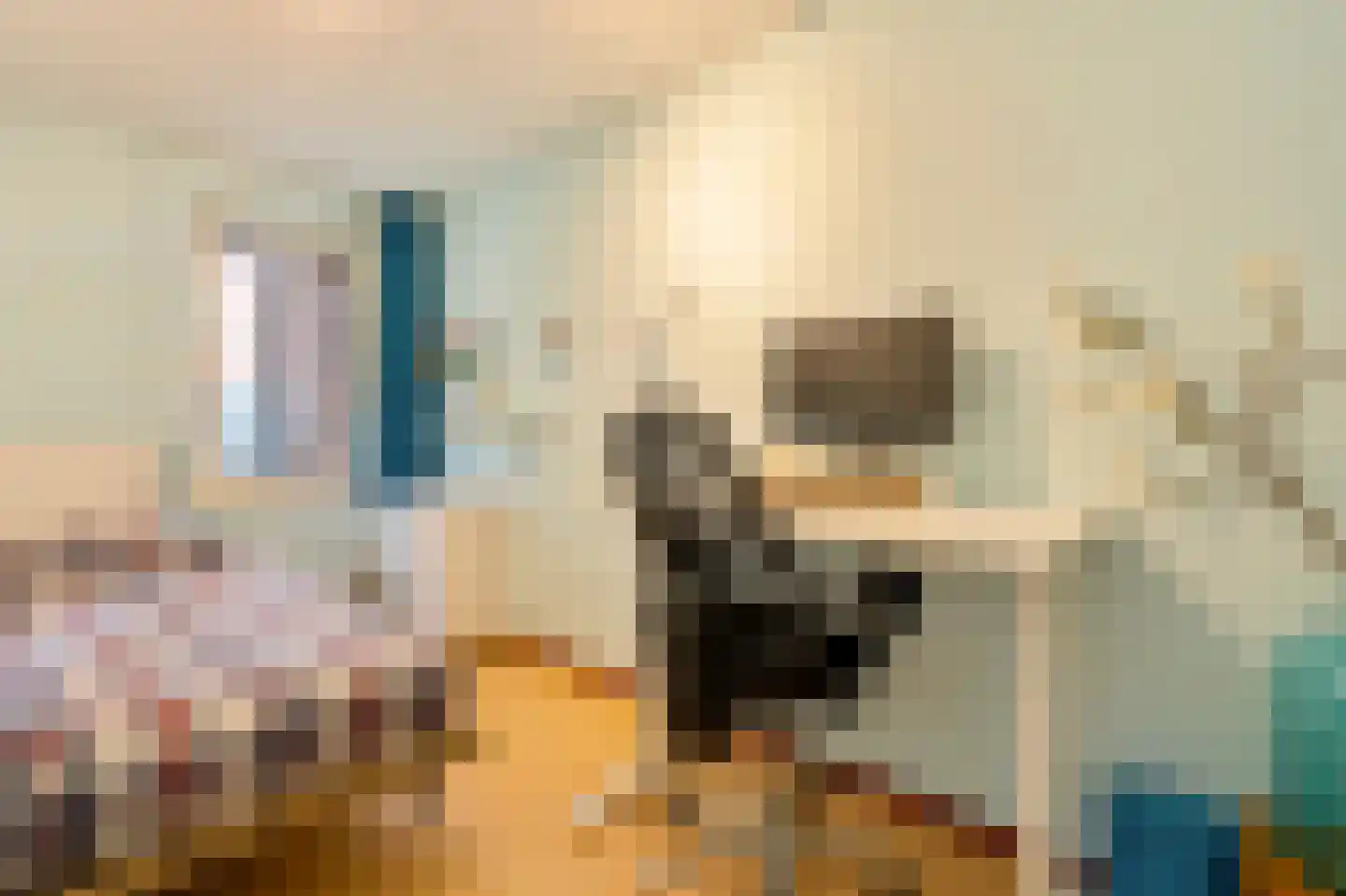 Theodoor van Hoytemastraat 13 Amsterdam thumbnail 25
