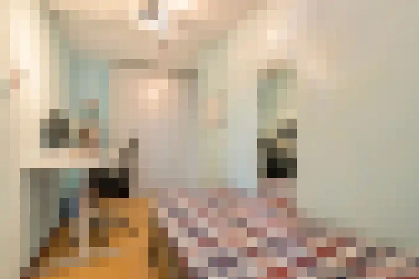 Theodoor van Hoytemastraat 13 Amsterdam thumbnail 26