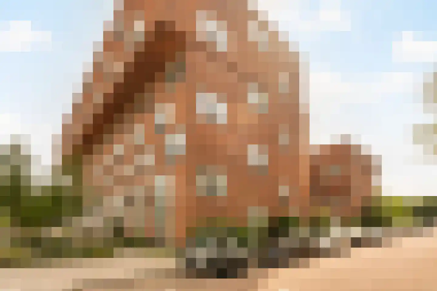 Theodoor van Hoytemastraat 13 Amsterdam thumbnail 35