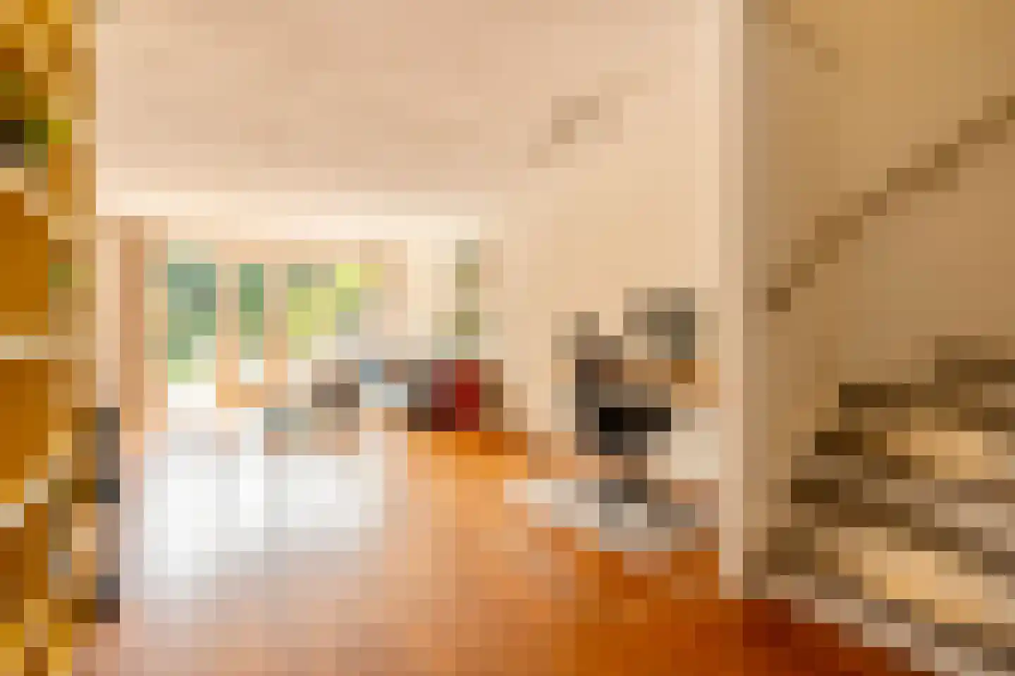 Theodoor van Hoytemastraat 13 Amsterdam thumbnail 5