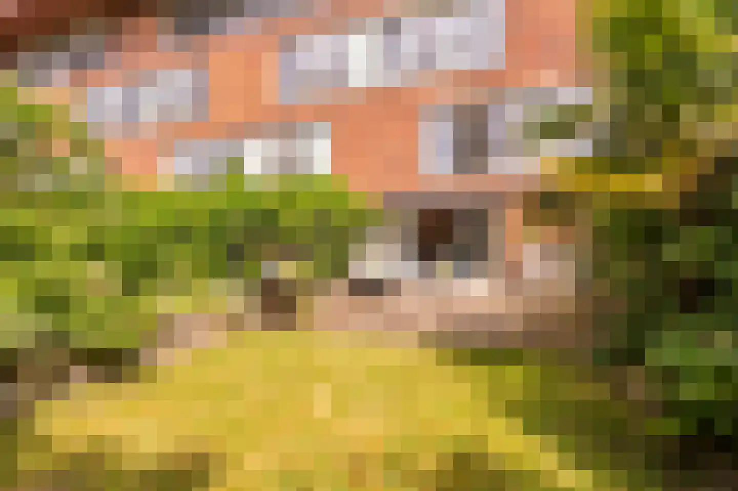 Theodoor van Hoytemastraat 13 Amsterdam thumbnail 9
