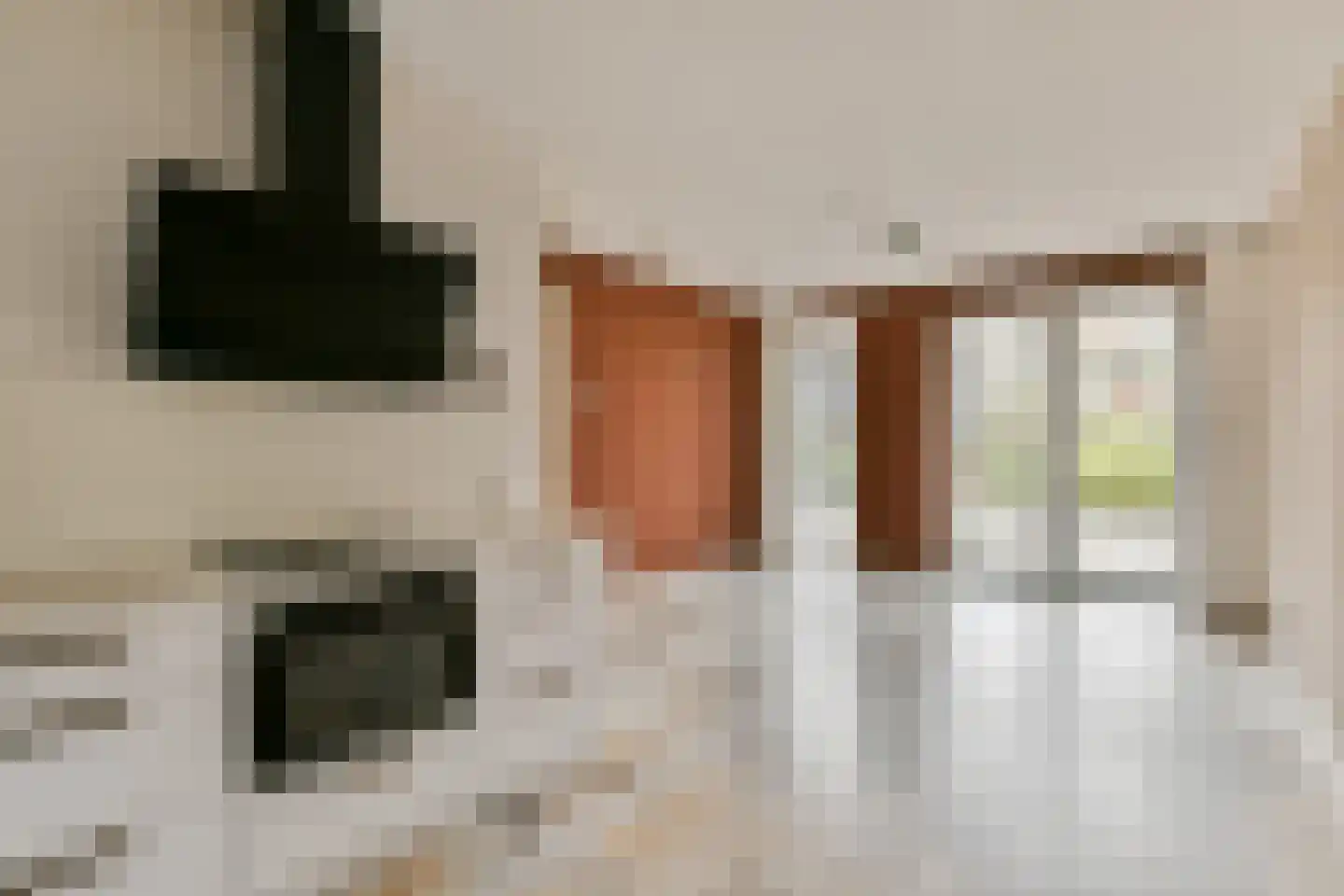 Theodoor van Hoytemastraat 18 Amsterdam thumbnail 14