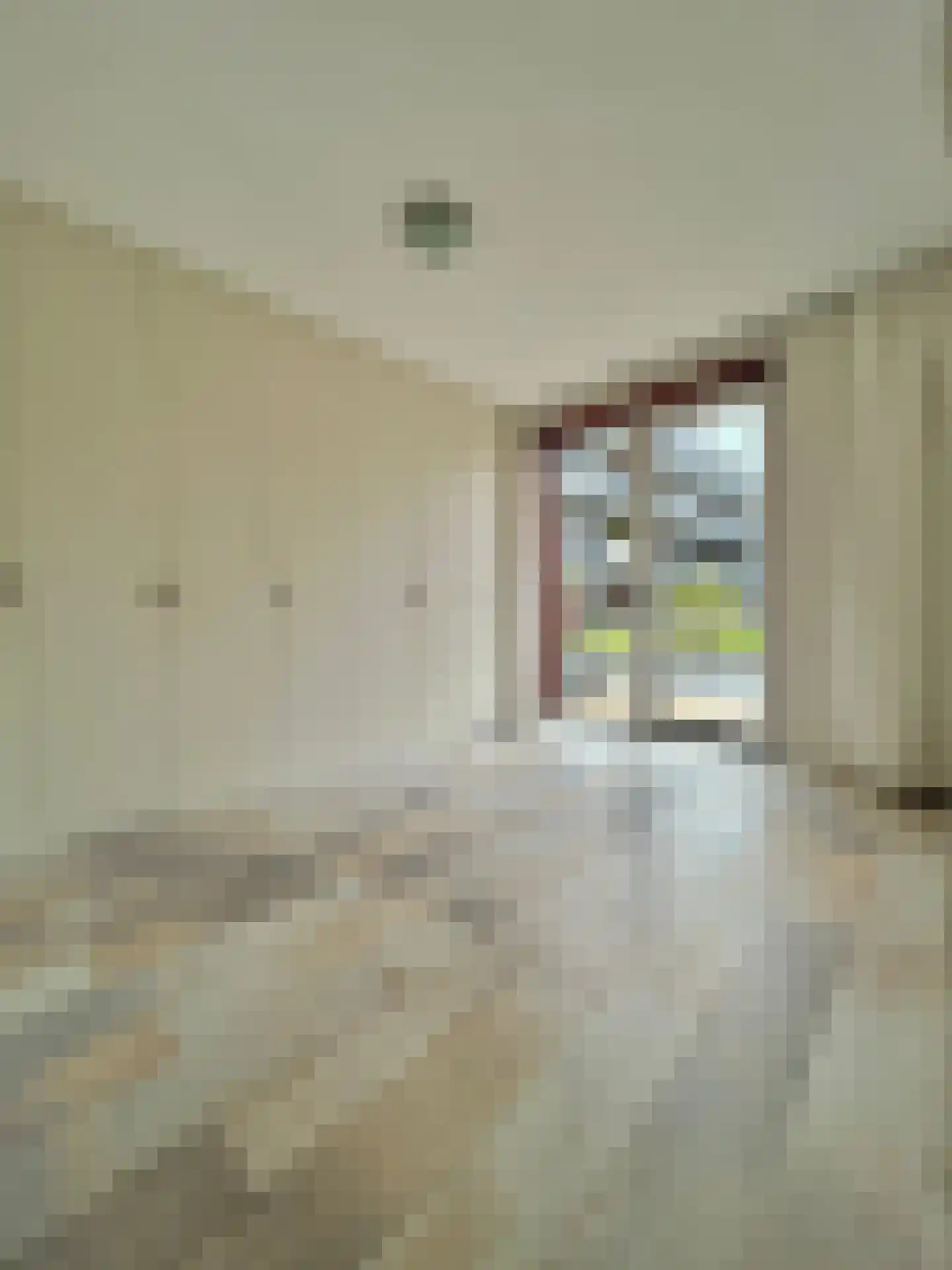 Theodoor van Hoytemastraat 18 Amsterdam thumbnail 14