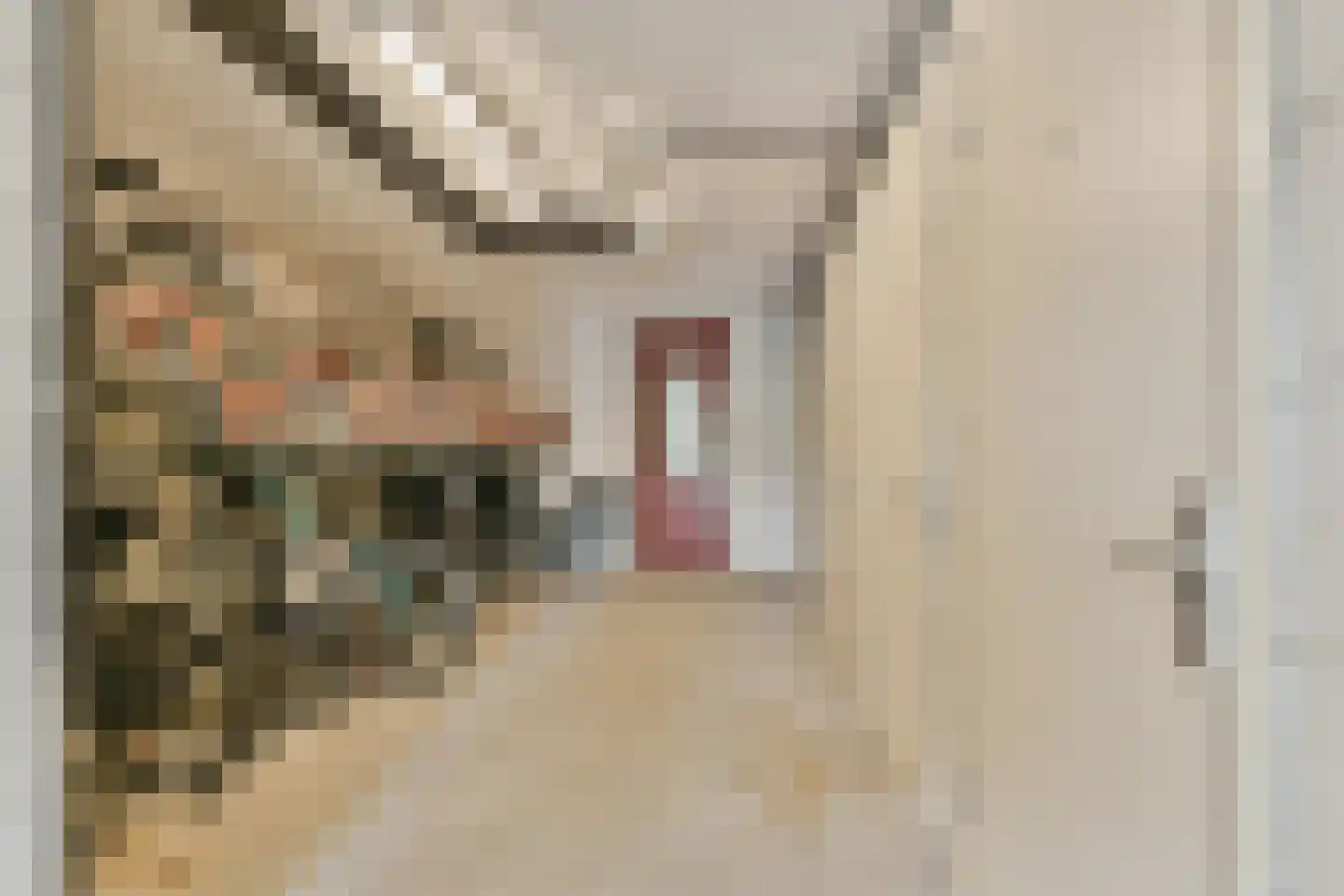 Theodoor van Hoytemastraat 18 Amsterdam thumbnail 19