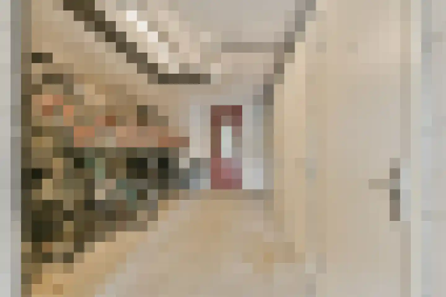 Theodoor van Hoytemastraat 18 Amsterdam thumbnail 20