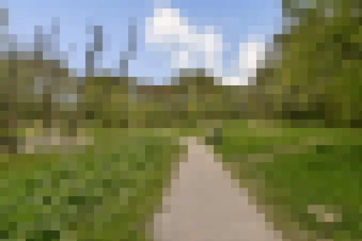 Theodoor van Hoytemastraat 18 Amsterdam thumbnail 22