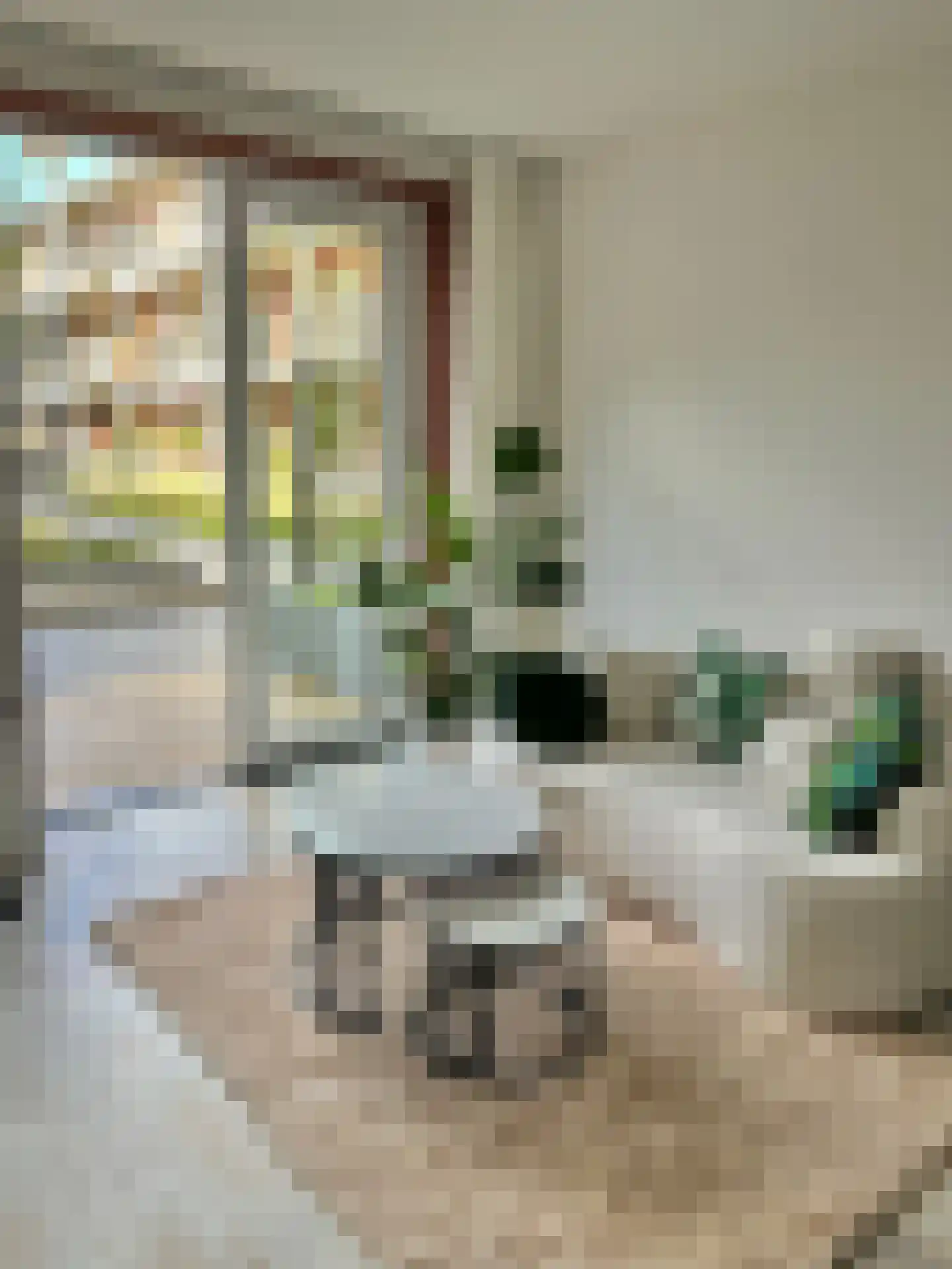Theodoor van Hoytemastraat 18 Amsterdam thumbnail 6