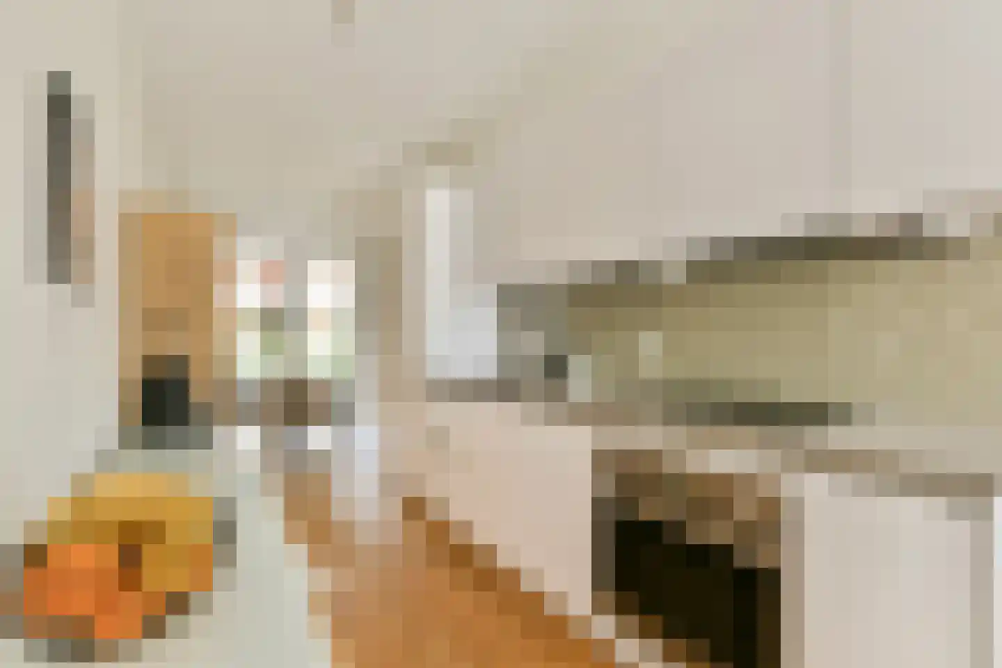 Theodoor van Hoytemastraat 32 Amsterdam thumbnail 12