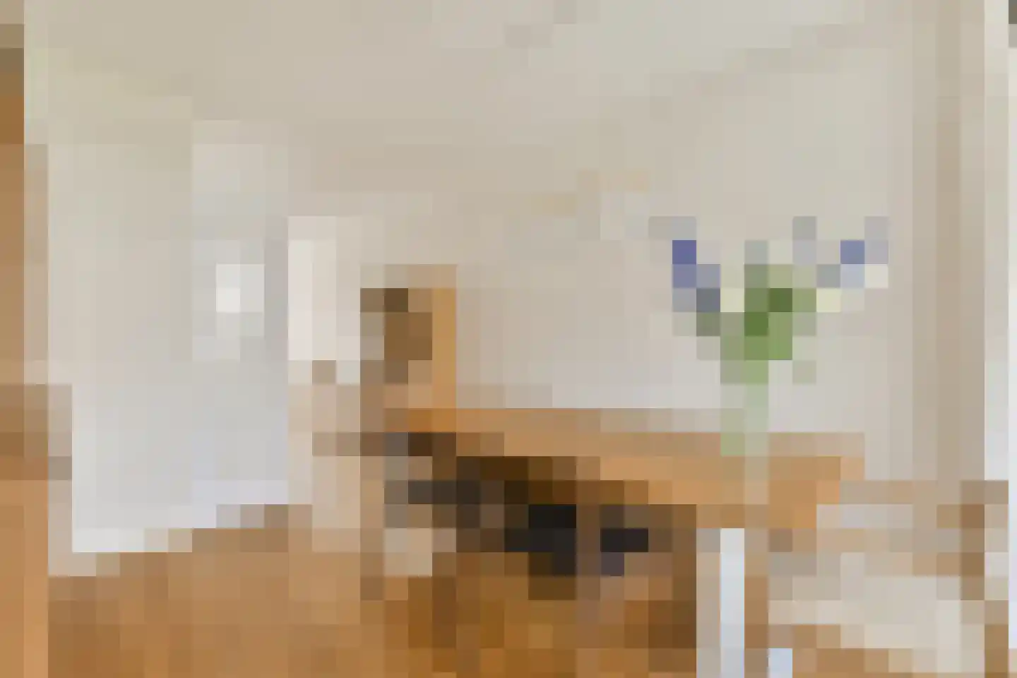 Theodoor van Hoytemastraat 32 Amsterdam thumbnail 14