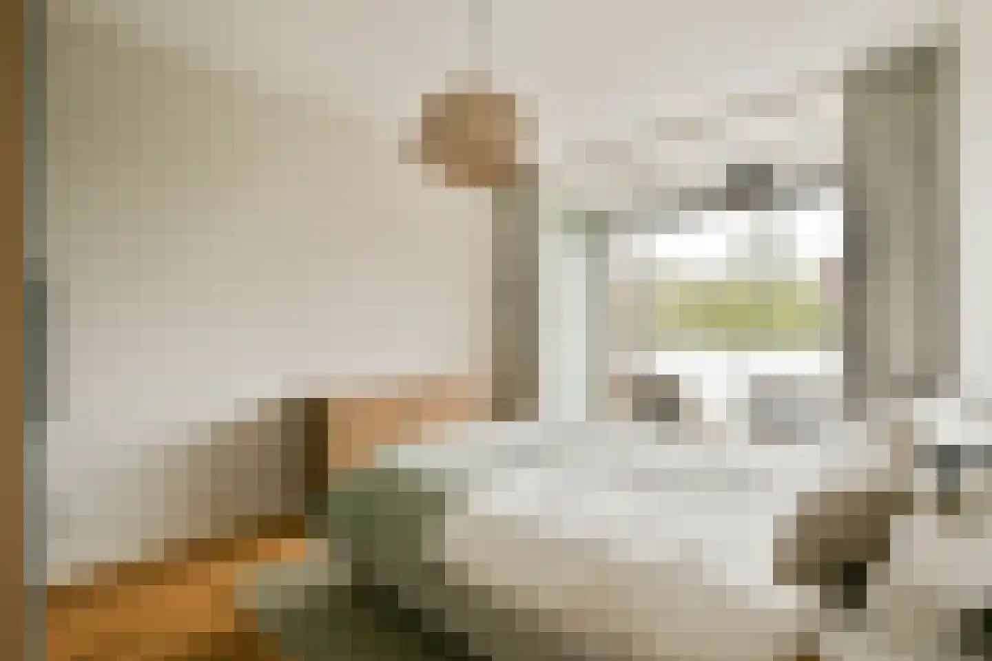 Theodoor van Hoytemastraat 32 Amsterdam thumbnail 17
