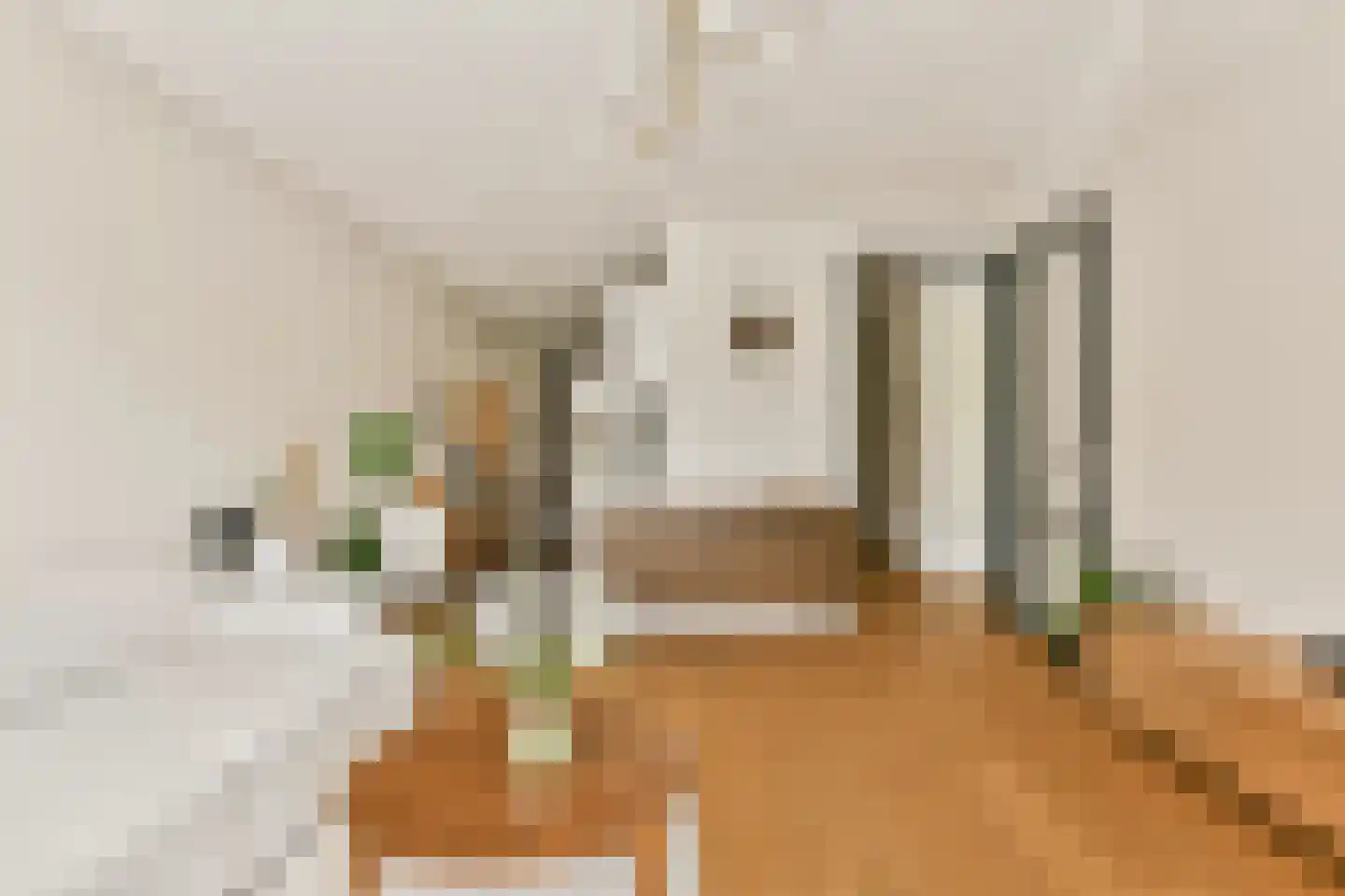 Theodoor van Hoytemastraat 32 Amsterdam thumbnail 9