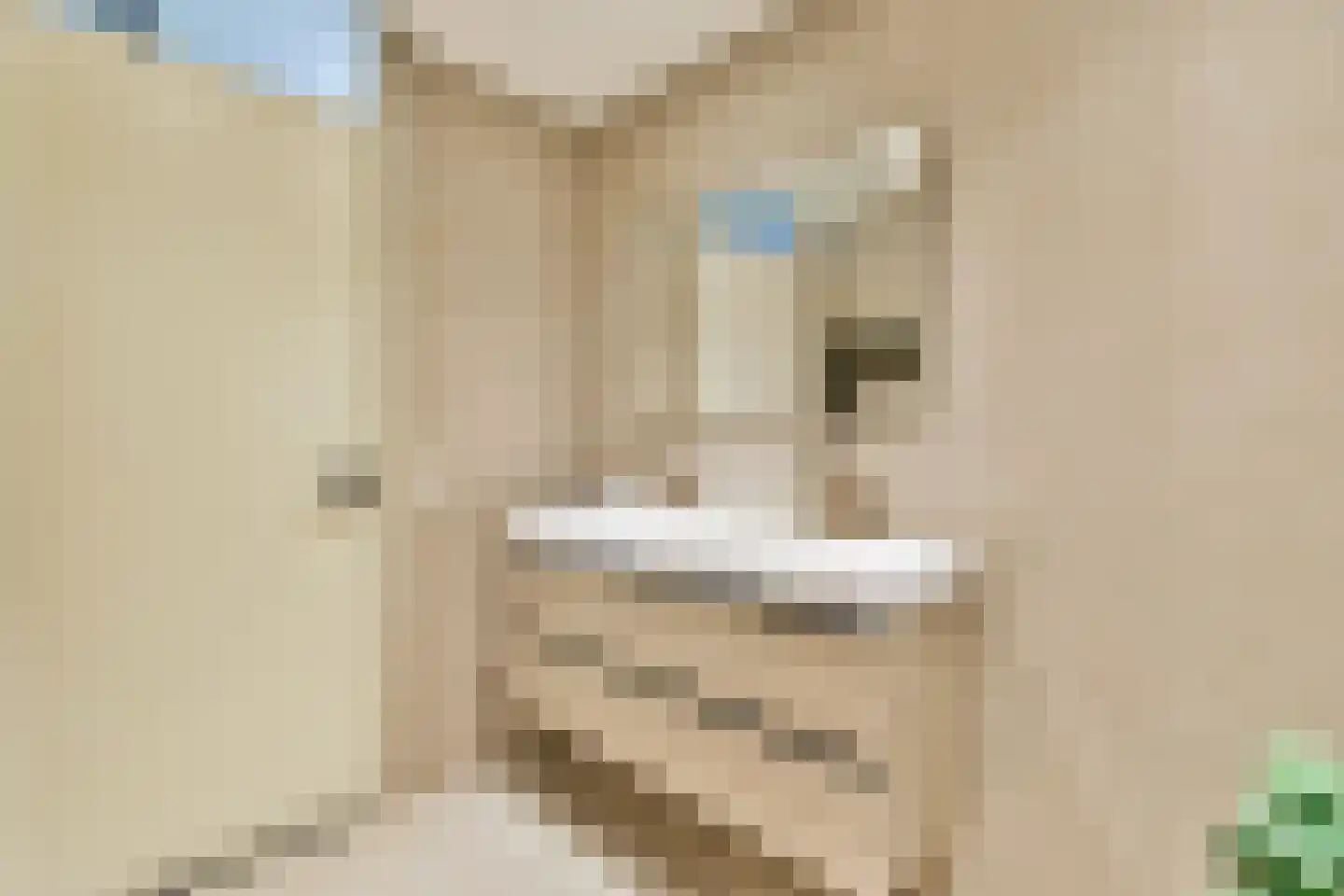 Theodoor van Hoytemastraat 37 Amsterdam thumbnail 15