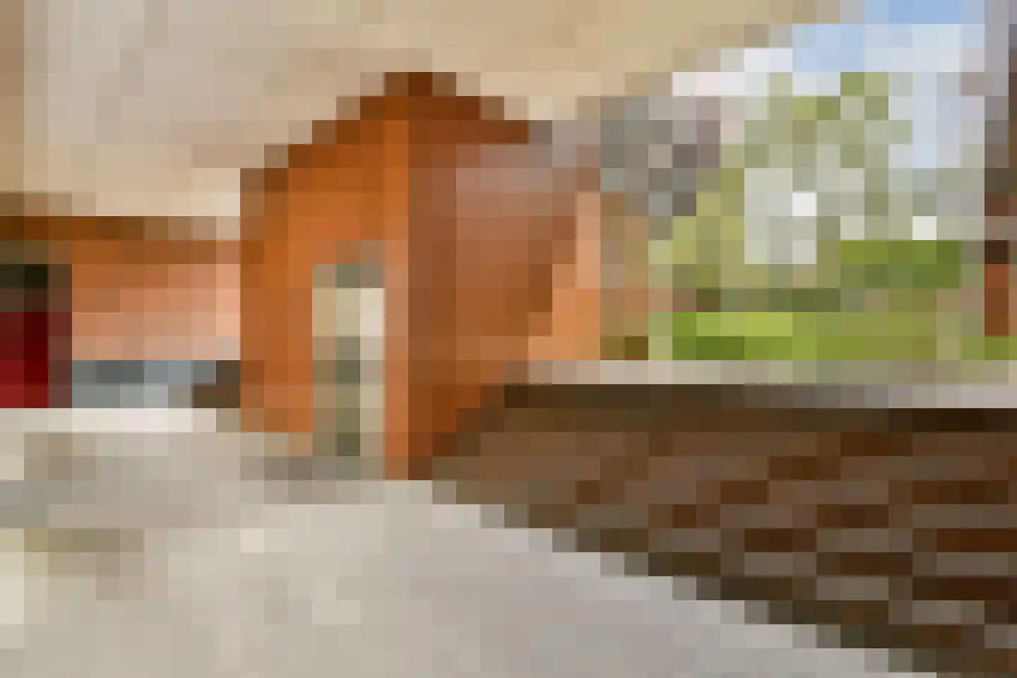Theodoor van Hoytemastraat 37 Amsterdam thumbnail 21