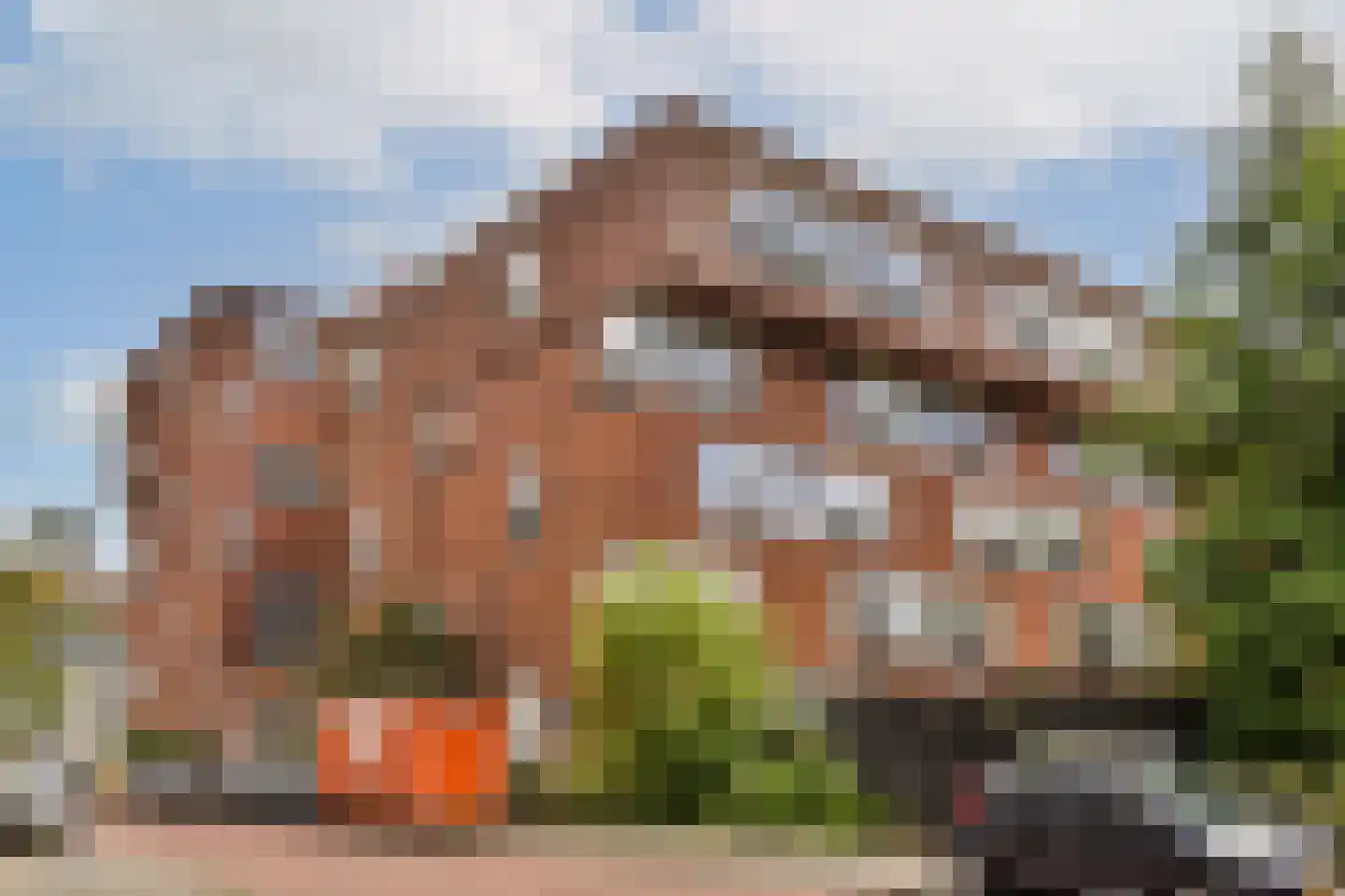 Theodoor van Hoytemastraat 37 Amsterdam thumbnail 22