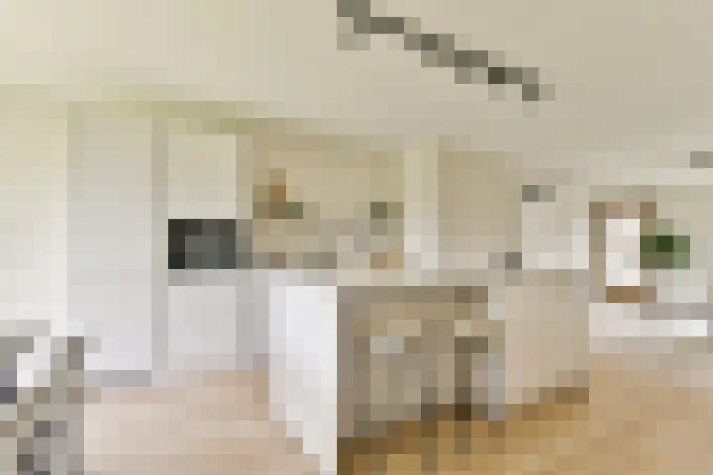 Theodoor van Hoytemastraat 37 Amsterdam thumbnail 4