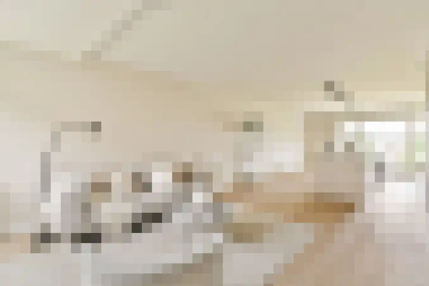 Theodoor van Hoytemastraat 37 Amsterdam thumbnail 5