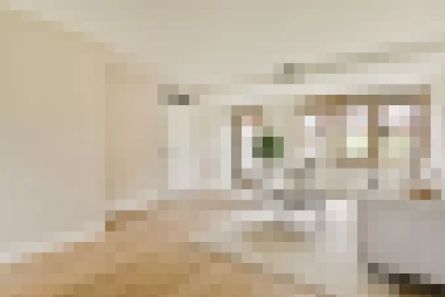 Theodoor van Hoytemastraat 37 Amsterdam thumbnail 7